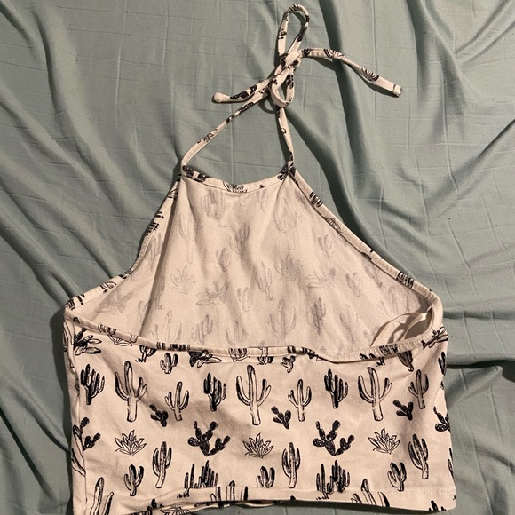 Cactus Crop - Picture 3 of 3